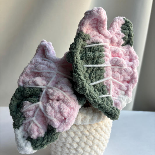 Crochet Alocasia “Pink Polly” Plant